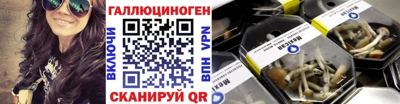 KRAKEN рабочий сайт  Анадырь  Псилоцибиновые грибы прущие грибы 